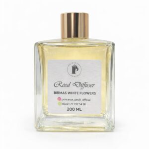 whatsapp image 2026 03 02 at 12.54.10 (1)